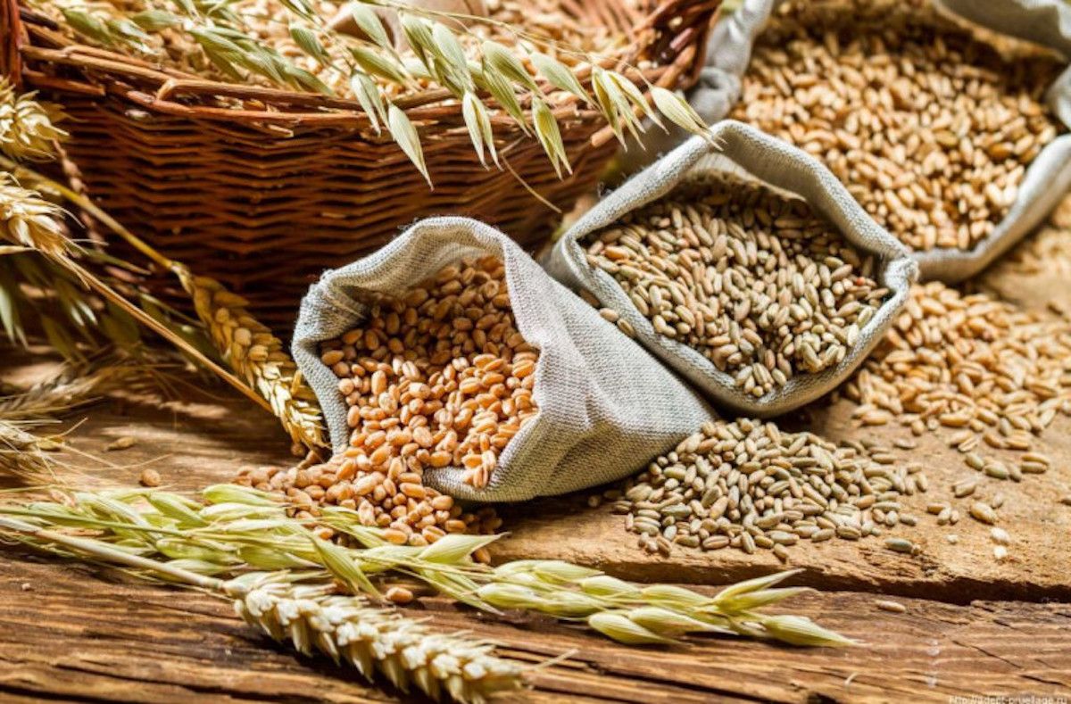 prețuri cereale - agroexpert.md 