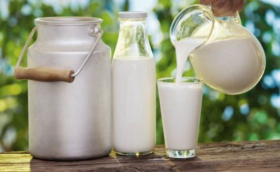 молочное сырье - agroexpert.md