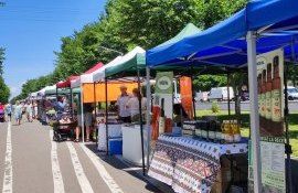 Cămara Fest pomușoare - agroexpert.md