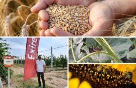 самых интересных новостей - agroexpert.md