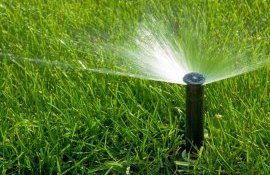 IPM cazuri apă pentru irigare - agroexpert.md