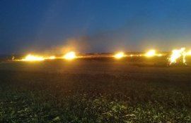 incendii culturi agricole - agroexpert.md