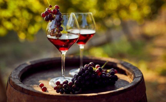 sommelieri, viticultori curs certificate WSET - agroexpert.md