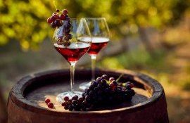sommelieri, viticultori curs certificate WSET - agroexpert.md
