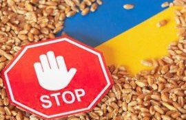 embargou cereale Ucraian - agroexpert.md