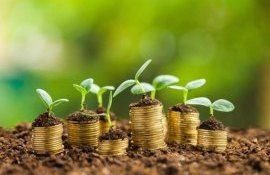 investiții agricultură AGGRI - agroexpert.md