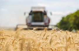 fermier dezvoltă afacerea agricolă - agroexpert.md