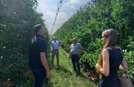 importator oloandez fructe moldovenești -agroexpert.md