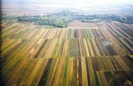 elaborarea  cadastrului funciar anual simplificată - agroexoert.md
