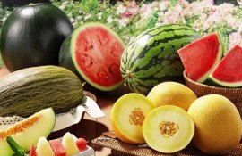 recomandări ANSA pepene verzi galbeni - agroexpert.md
