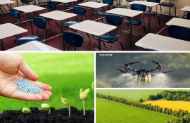 самых интересных новостей  - agroexpert.md