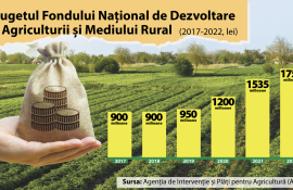 Subvențiile în agricultură corupție - agroexpert.md