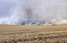 incendii culturi agricole IGSU - agroexpert.md