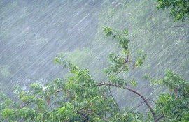 SHS explică ploaie - agroexpert.md