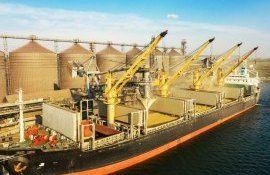 export cereale Forța Fermierilor - agroexpert.md