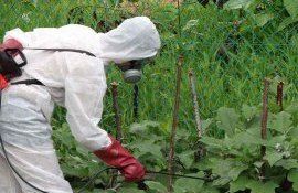 Штрафы и меры против карантинных вредителей в Молдове - agroexpert.md