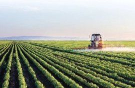 AIPA cereri subvenții agricultură - agroexpert.md