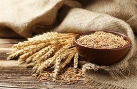 grâu cotații - agroexpert.md