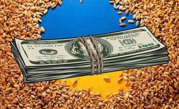 ЕС не может немедленно помочь Украине с компенсацией расходов на экспорт зерна - agroexpert.md