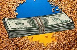 ЕС не может немедленно помочь Украине с компенсацией расходов на экспорт зерна - agroexpert.md