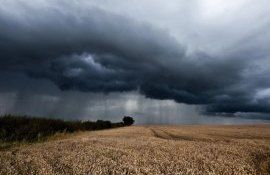Град в Гагаузии: пострадали сельхозугодья в Копчаке - agroexpert.md   