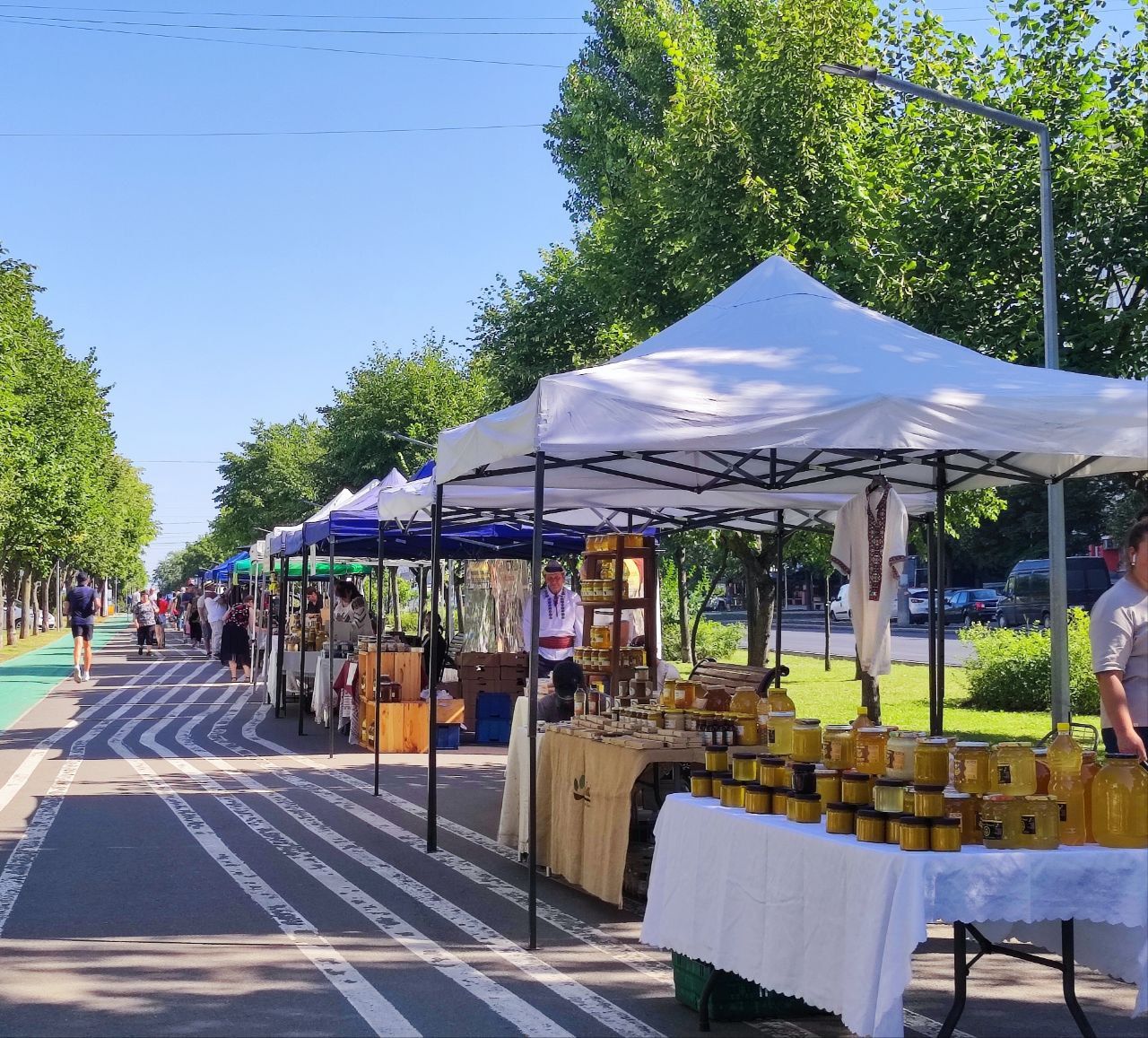 donații festivalul pomușoarelor și mierii - agroexpert.md