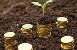 lei alocați beneficiari subvenții AIPA - agroexpert.md