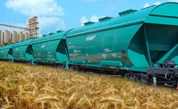 Украина попросит Молдову о скидке на ж/д перевозку зерна - agroexpert.md