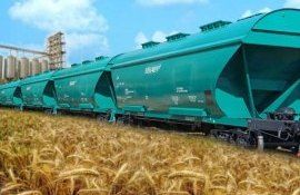 Украина попросит Молдову о скидке на ж/д перевозку зерна - agroexpert.md
