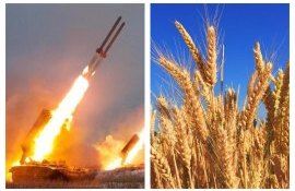 Odesa porturi cereale - agroexpert.md