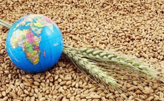 Скачок цен на пшеницу на СВОТ был кратковременным - agroexpert.md
