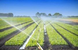 Moldova Franța irigare dezvoltare agricultură - agroexpert.md