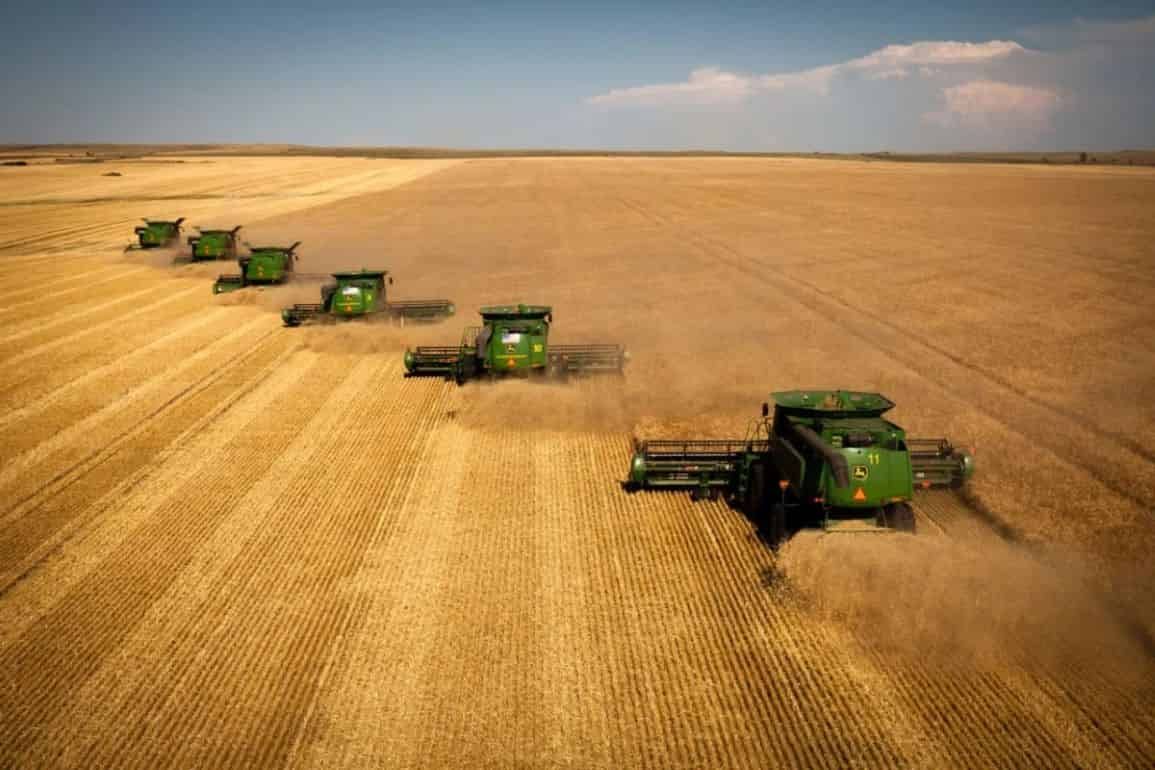 Урожай зерновых и масличных в Украине может превысить прошлогодний - agroexpert.md     