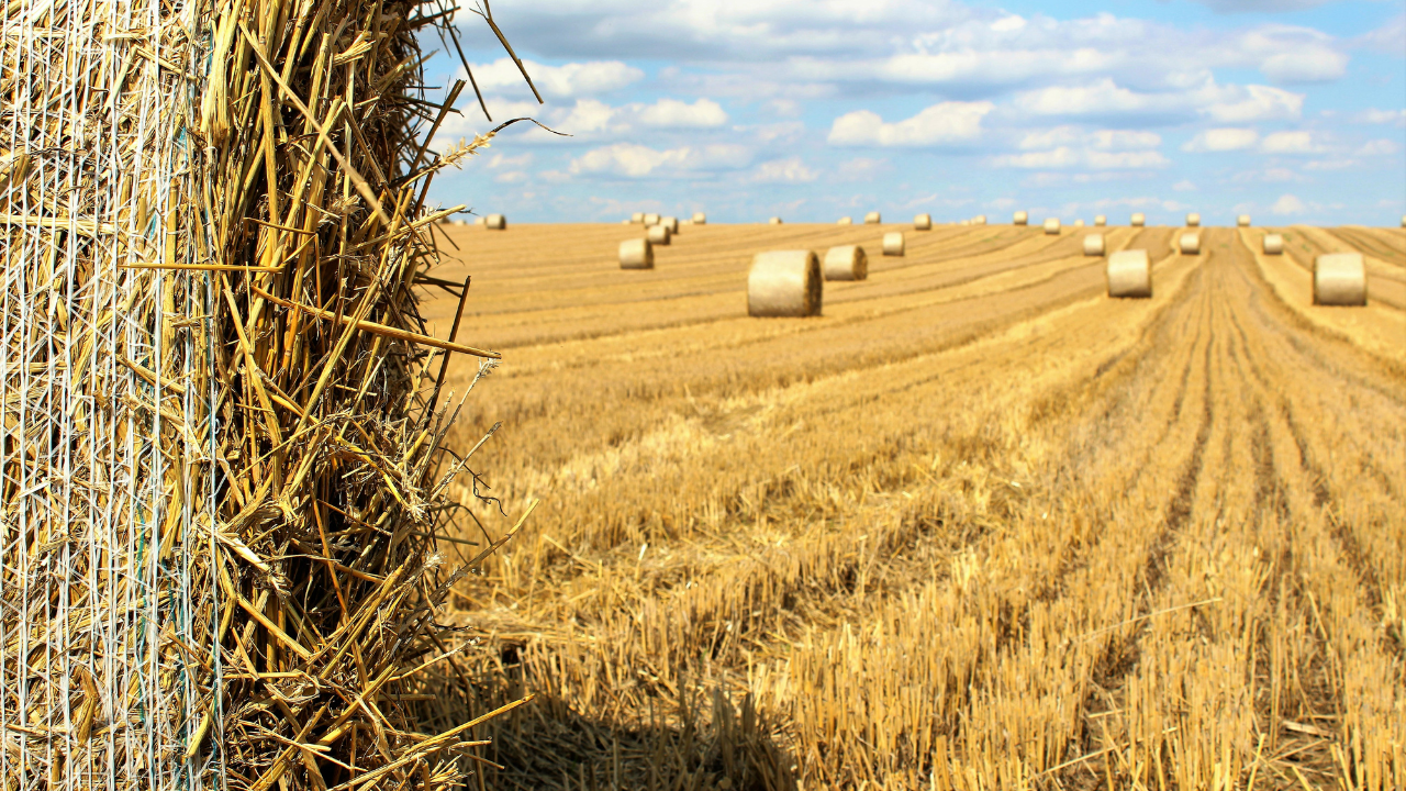 lucrările agricole - agroexpert.md