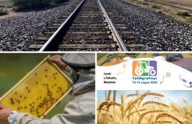 самых интересных новостей - agroexpert.md