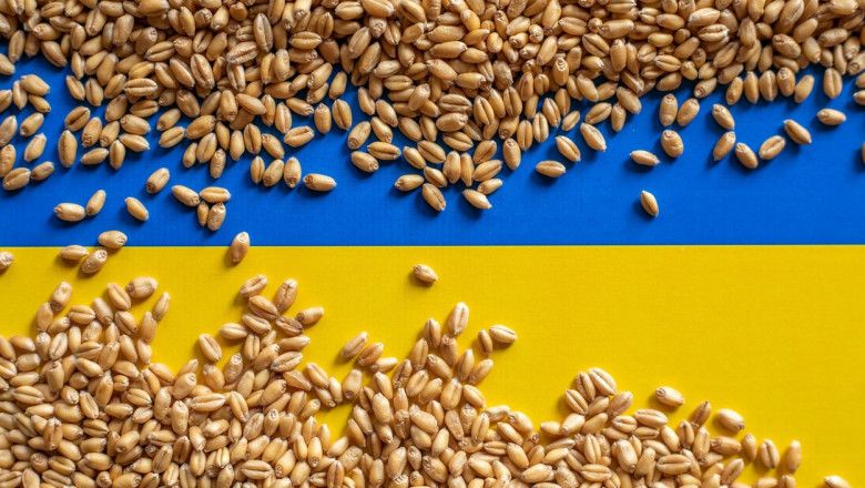 Polonia UE miliard de euro tranzit ceareale ucraina - agroexpert.md