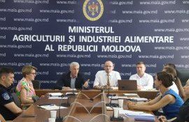 pesta porcină africană autorități previn răspândirea - agroexpert.md