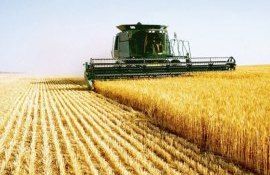 recolta cereale regiunea transnistreană - agroexpert.md