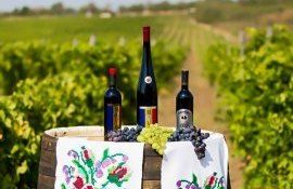 Central Park Wine Festival producători vinuri Moldova - agroexpert.md