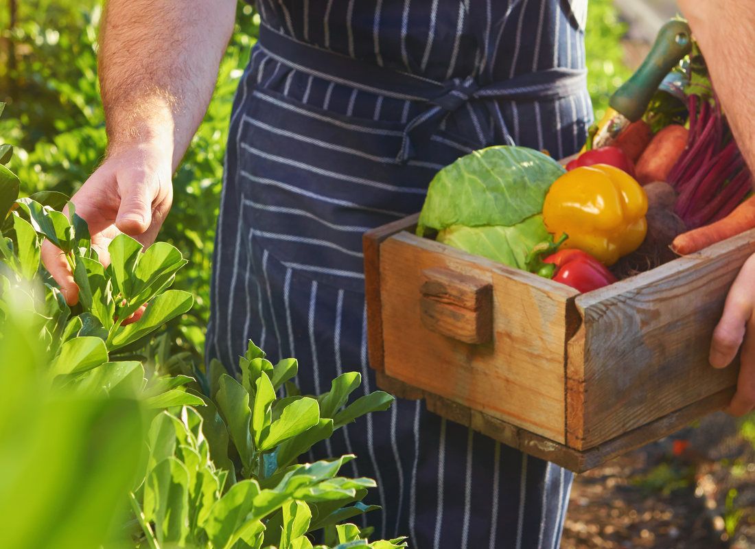 agricultura ecologică fermieri moldoveni vizită Cehia - agroexpert.md