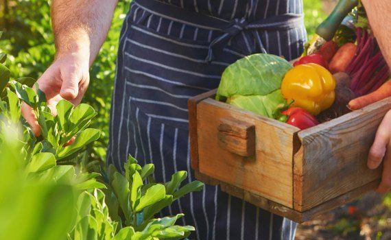 agricultura ecologică fermieri moldoveni vizită Cehia - agroexpert.md
