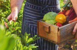 agricultura ecologică fermieri moldoveni vizită Cehia - agroexpert.md