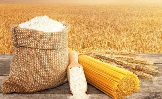 На мировом рынке пшеницы дурум ожидается дефицит высококачественного зерна - agroexpert.md  