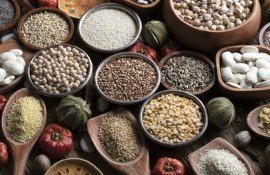 liberalizarea comercializării semințelor țărănești demers manifest - agroexpert.md