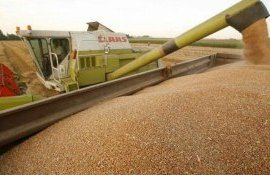 problema exportului de cereale ucrainene abordată de MAIA - agroexpert.md