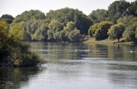 zonele umede râul Prut gestionate durabil - agroexpert.md