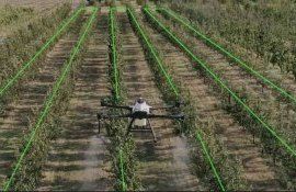 Венгерские агродроны выходят на европейские рынки - agroexpert.md