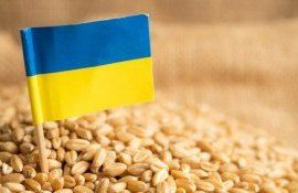 România dubla capacitatea tranzit cereale ucrainene - agroexpert.md
