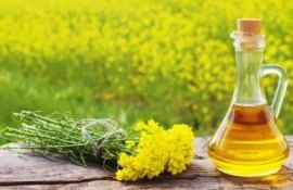 Как геномные улучшения в продуктивности сортов растений помогают фермерам - agroexpert.md