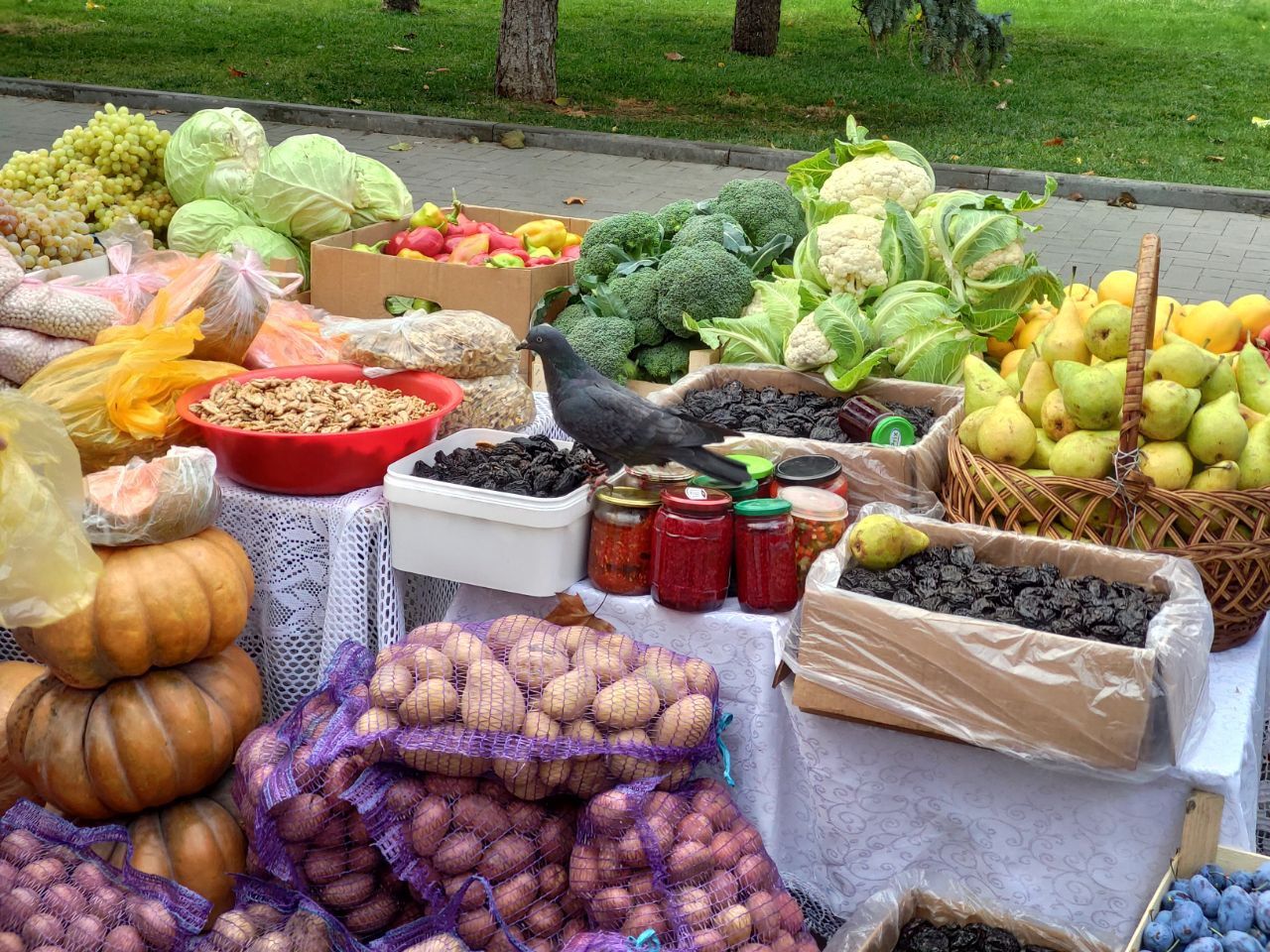 Antreprenori Moldova expoziții România - agroexpert.md